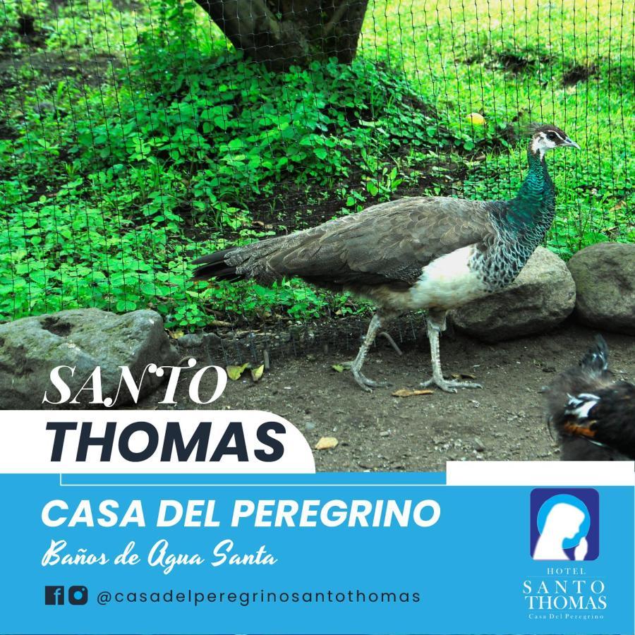 Casa Del Peregrino Santo Thomas 酒店 3*